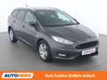 Ford Focus 1.0 EcoBoost Trend Grau - thumbnail 8