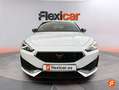CUPRA 1.5 e tsi Blanco - thumbnail 9