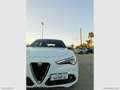 Alfa Romeo Stelvio STELVIO 2.2 160CV AT8 RWD SUPER BUSINESS Wit - thumbnail 5