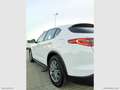 Alfa Romeo Stelvio STELVIO 2.2 160CV AT8 RWD SUPER BUSINESS Wit - thumbnail 10