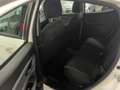 Lancia Ypsilon 1.2 69 CV 5 porte Silver Bianco - thumbnail 8