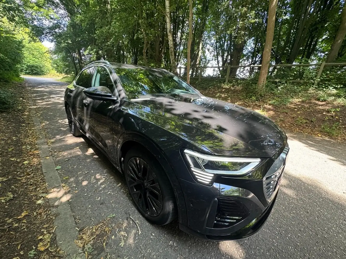 Audi Q8 e-tron Q8 e-tron 55 quattro S line Brązowy - 1