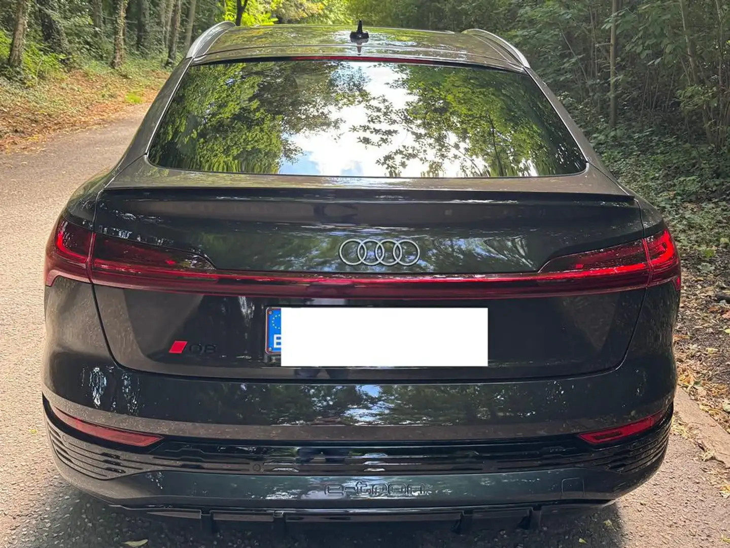 Audi Q8 e-tron Q8 e-tron 55 quattro S line Brązowy - 2