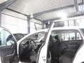 Skoda Rapid/Spaceback SPACEBACK 1.2 TSI Ambition WHITE / 1.HAND Blanco - thumbnail 15