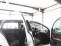 Skoda Rapid/Spaceback SPACEBACK 1.2 TSI Ambition WHITE / 1.HAND Blanco - thumbnail 16