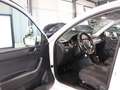 Skoda Rapid/Spaceback SPACEBACK 1.2 TSI Ambition WHITE / 1.HAND Blanco - thumbnail 12