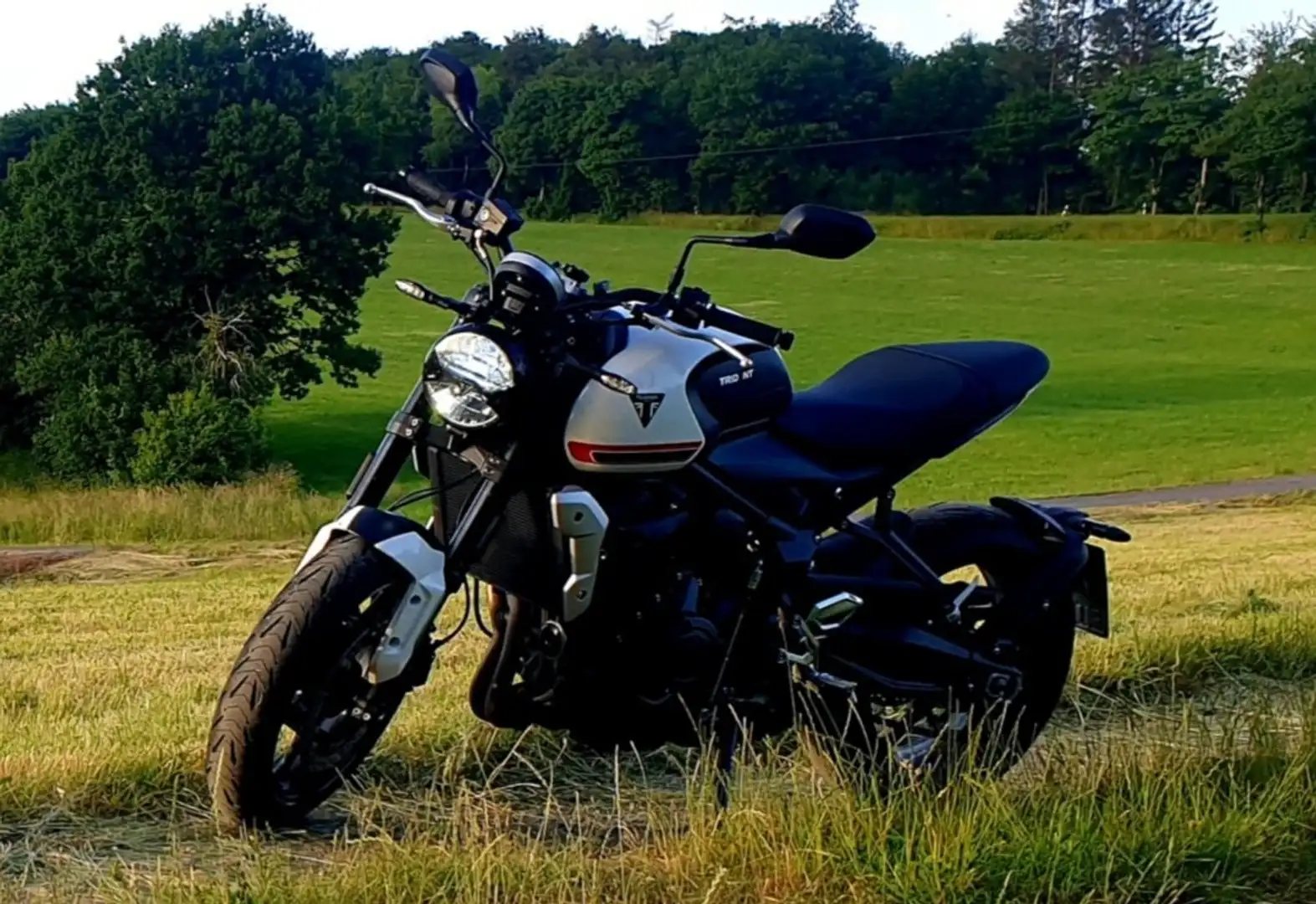 Triumph Trident 660 Beyaz - 1