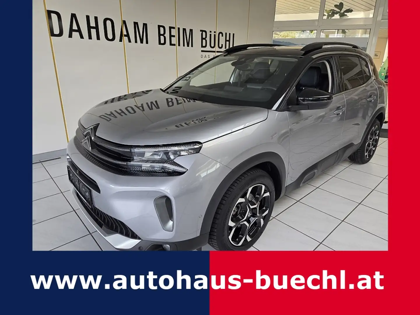 Citroen C5 Aircross BlueHDI 130 S&S EAT8 Max Gris - 1