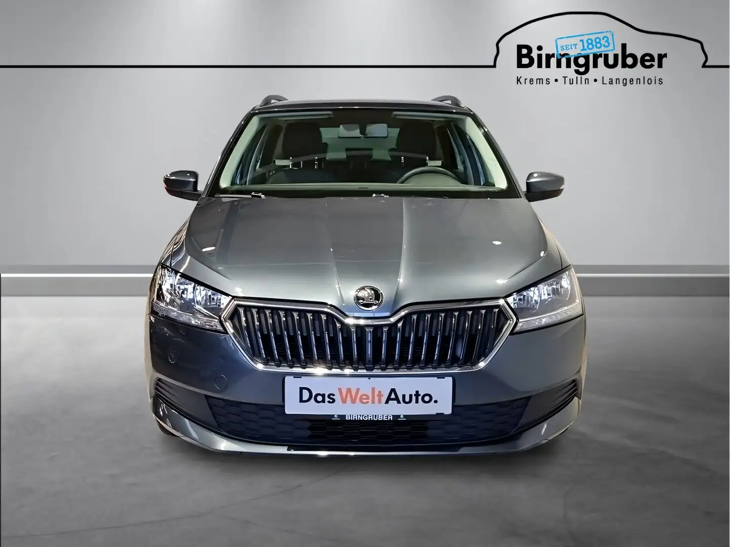 Skoda Fabia 125 Grau - 2