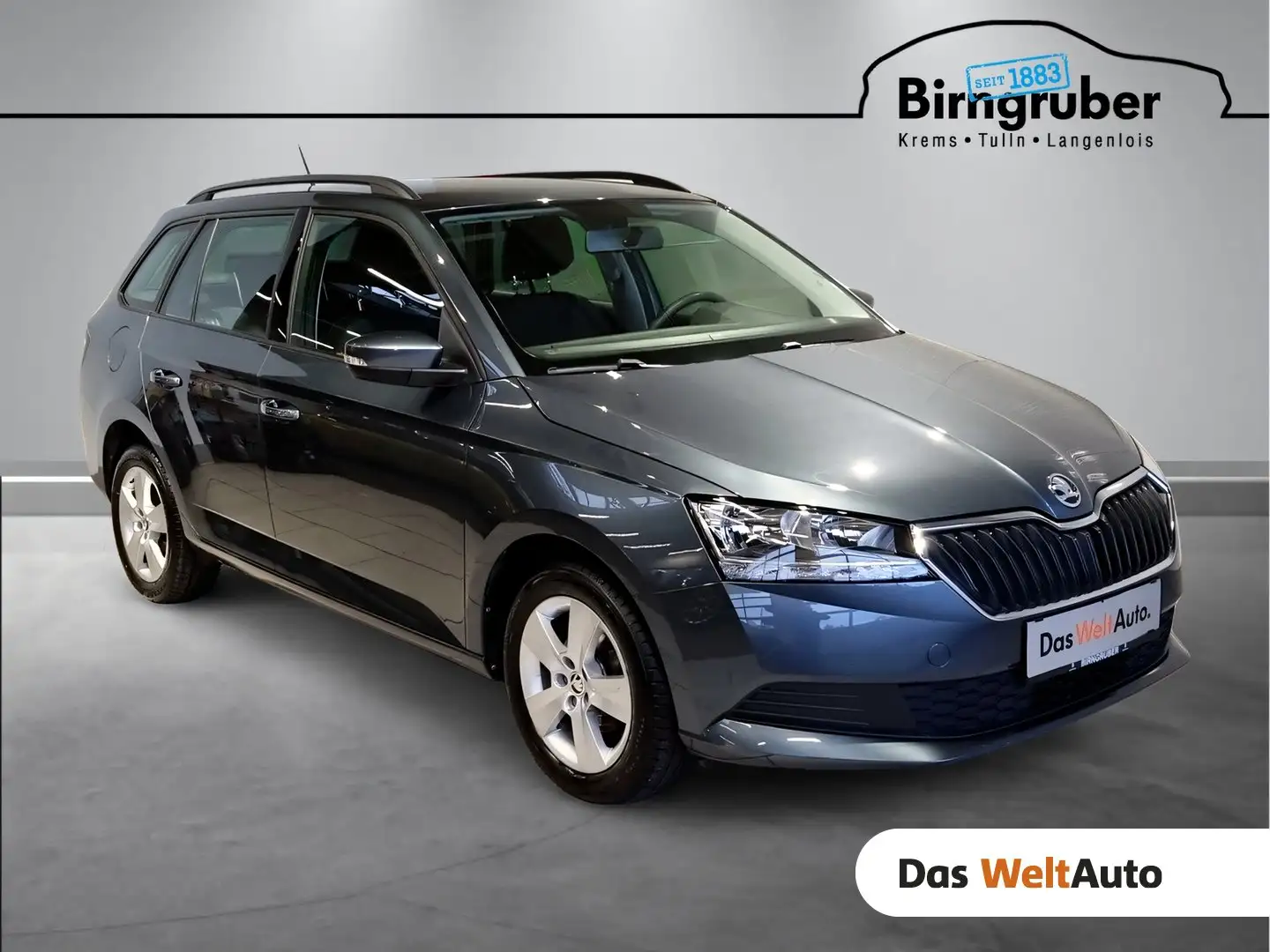 Skoda Fabia 125 Grau - 1