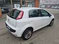 Fiat Punto Evo Punto Evo 5p 1.4 natural power Emotion 70cv Blanco - thumbnail 5