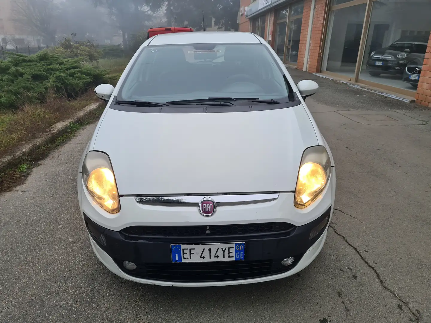 Fiat Punto Evo Punto Evo 5p 1.4 natural power Emotion 70cv Bianco - 2
