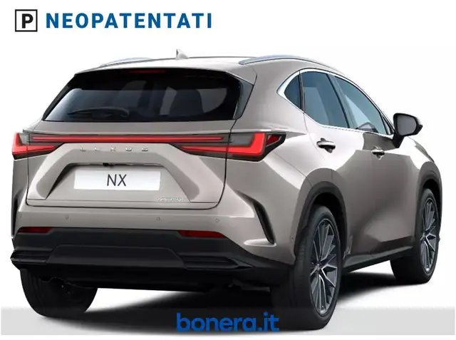 Lexus NX view 4