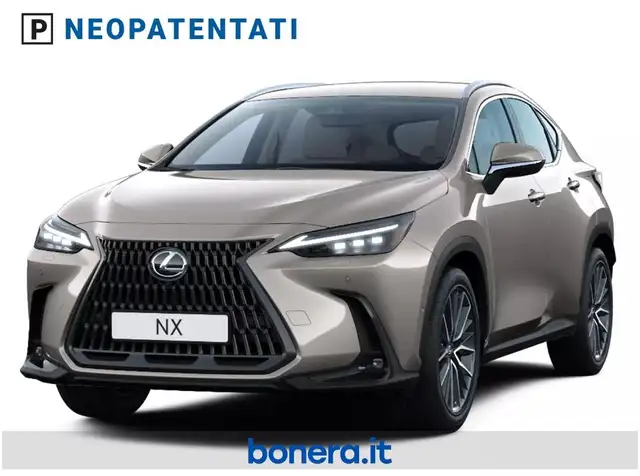 Lexus NX in Grey for sale