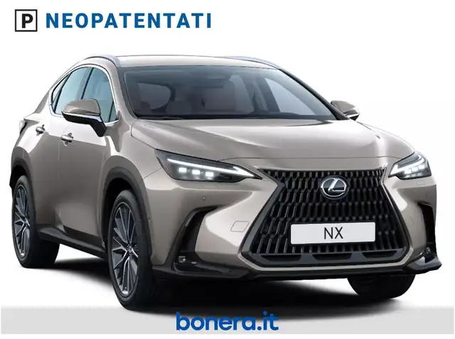 Lexus NX view 2