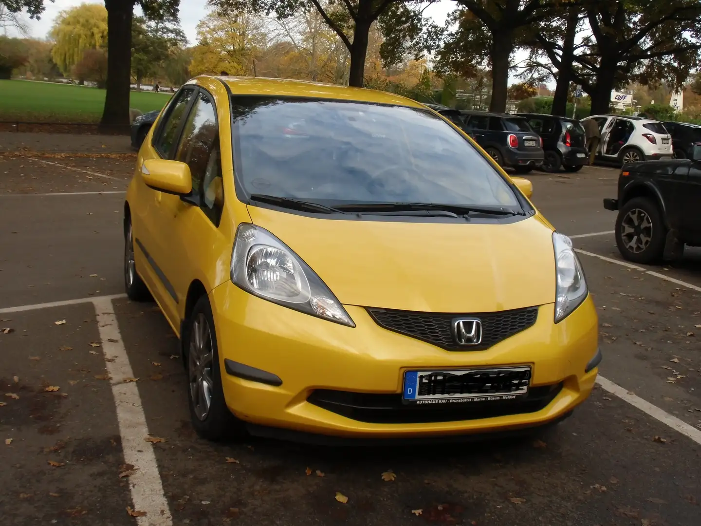 Honda Jazz Jazz 1.4 i-VTEC Comfort Gelb - 1