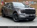 Ford Kit Raptor SuperCrew 4x4 Tout compris hors homolog Gris - thumbnail 16