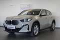 BMW iX2 eDrive20 U10 Grau - thumbnail 1