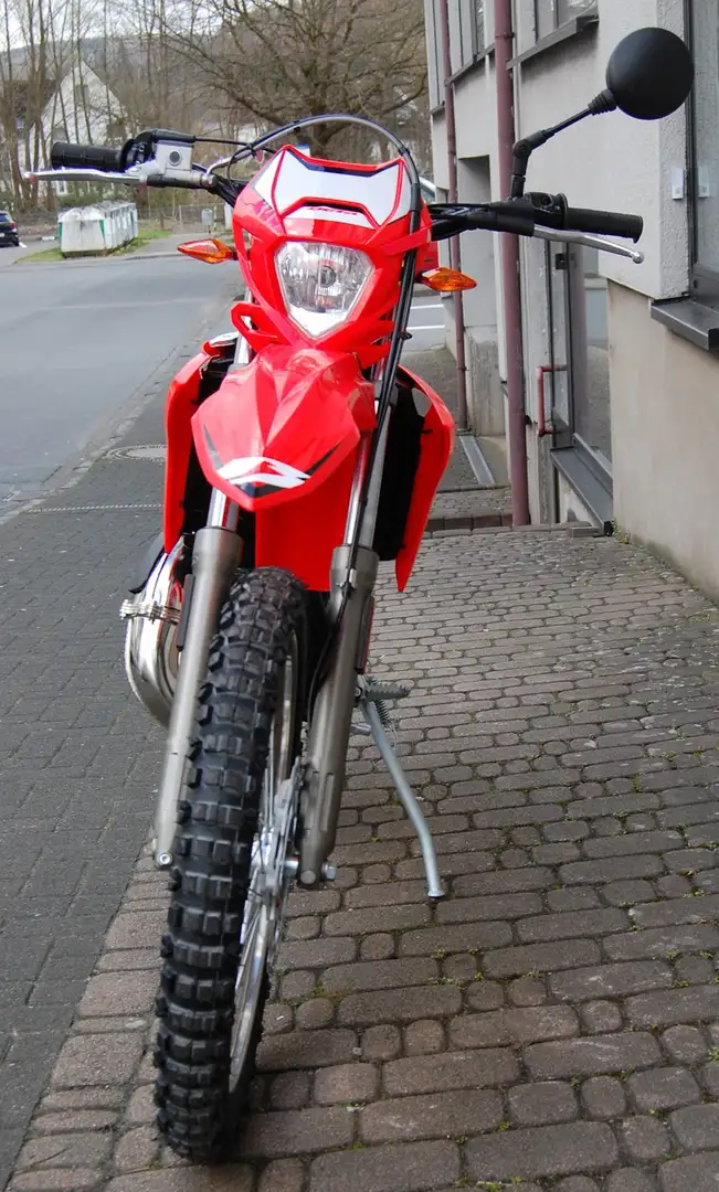 Beta RR 50 Mofa/Moped/Mokick in Rot neu in Neunkirchen