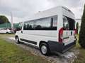 Peugeot Boxer 330 2.2 HDi/130CV FAP PM-TM Combi+IVA-DISABILI Bianco - thumbnail 7