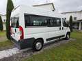 Peugeot Boxer 330 2.2 HDi/130CV FAP PM-TM Combi+IVA-DISABILI Bianco - thumbnail 5