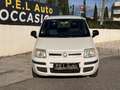 Fiat Panda MY 1.2 8V 69 ch Weiß - thumbnail 13