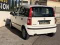 Fiat Panda MY 1.2 8V 69 ch Weiß - thumbnail 12