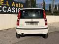 Fiat Panda MY 1.2 8V 69 ch Weiß - thumbnail 14