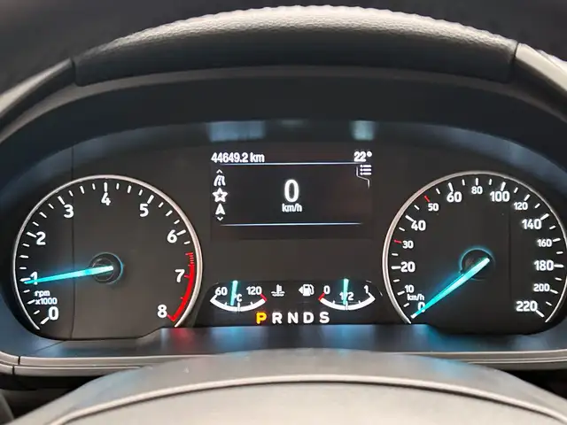 Ford EcoSport view 19