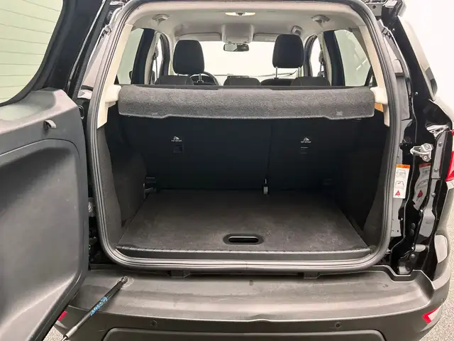 Ford EcoSport view 20