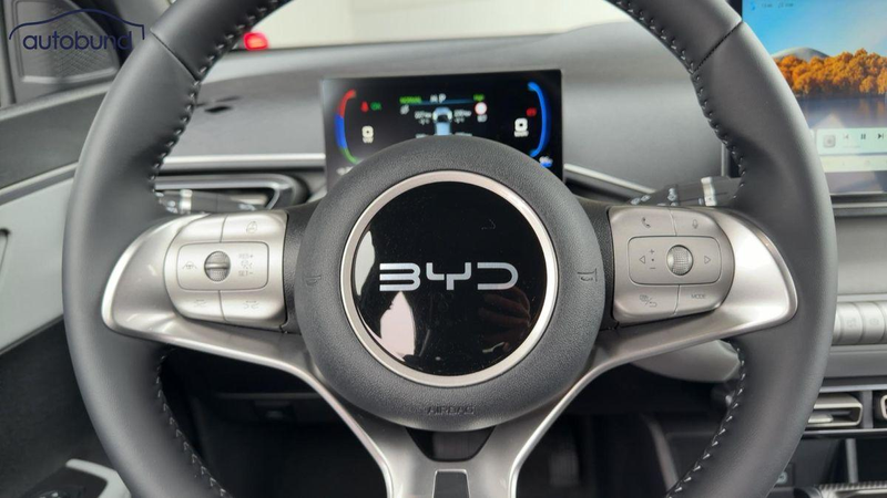 BYD Dolphin Surf Active Alu Link NAV NBA PDC RFK SHA — photo 10