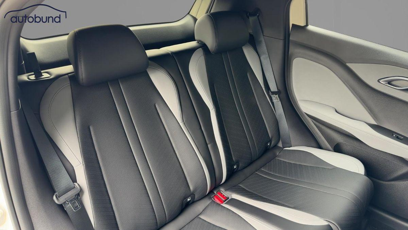 BYD Dolphin Surf Active Alu Link NAV NBA PDC RFK SHA — photo 7