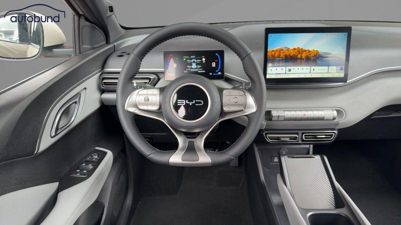 BYD Dolphin Surf Active Alu Link NAV NBA PDC RFK SHA — photo 9