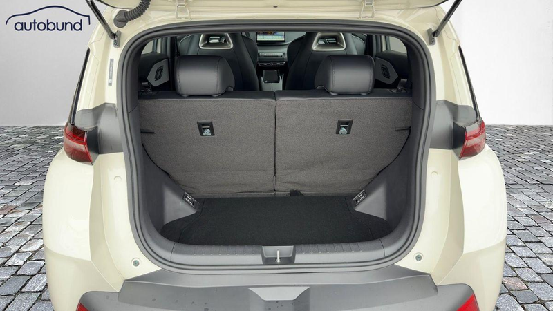 BYD Dolphin Surf Active Alu Link NAV NBA PDC RFK SHA — photo 8