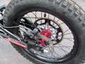 Oset Und die neue 24.0 RACING Rot - thumbnail 10