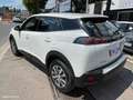 Peugeot 2008 1.5 bluehdi 110 Active Business 2021 Blanc - thumbnail 4