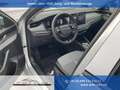 Skoda Octavia Combi 1.5 TSI mHEV 110 kW Selection DSG Selecti... Silber - thumbnail 1