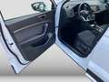 SEAT Ateca 1.5TSI DSG Xperience LED AHK Navi CAM APP Weiß - thumbnail 14