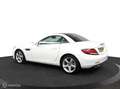 Mercedes-Benz SLC 180 RedArt Edition 157 PK | Uniek Handgeschakeld | 51 Weiß - thumbnail 45
