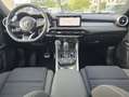 Alfa Romeo Tonale 1.6 diesel 130 CV TCT6 Ti Blau - thumbnail 13