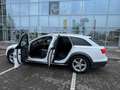 Audi A6 allroad A6 allroad quattro 3.0 TDI S tronic DPF Weiß - thumbnail 4