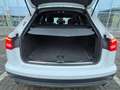 Audi A6 allroad A6 allroad quattro 3.0 TDI S tronic DPF Weiß - thumbnail 7