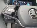 Skoda Superb Combi Selection 1.5 TSI Navi Matrix beh. Frontsch. Grau - thumbnail 21