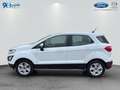 Ford EcoSport 1.0 EcoBoost COOL&CONNECT Beyaz - thumbnail 3