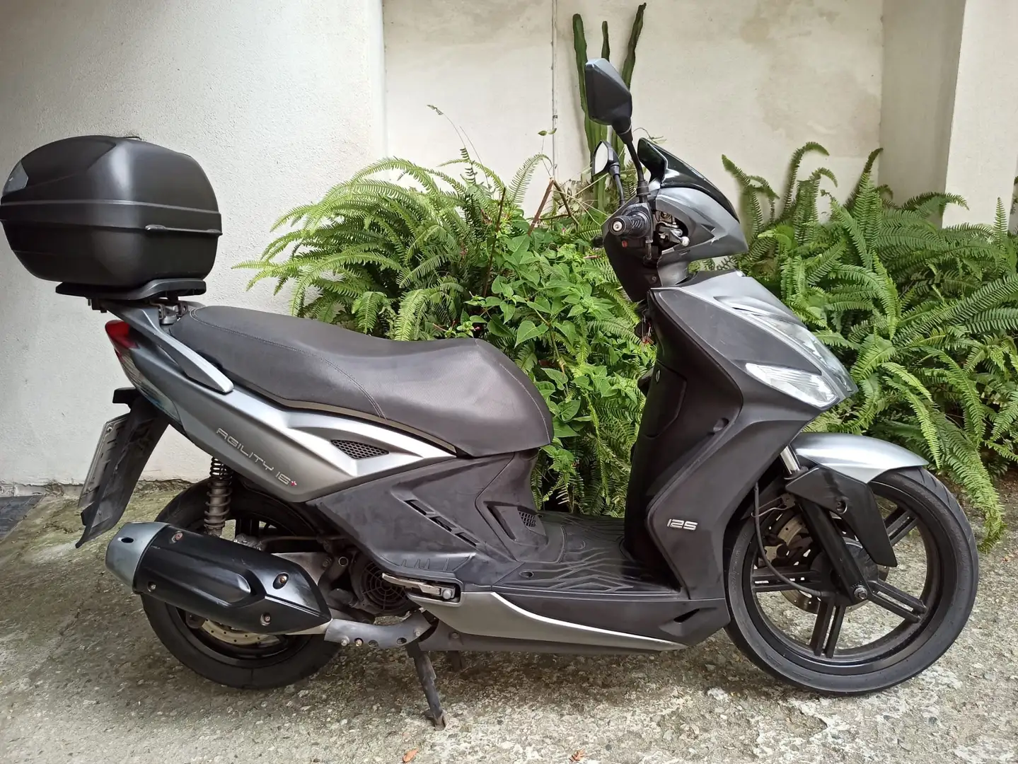 Kymco Agility 125 16 + Gris - 1