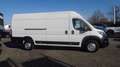 Citroen Jumper L4H2 KW 3500 Blue HDi 140 Weiß - thumbnail 3