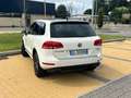 Volkswagen Touareg 3.0 V6 tdi Executive 245cv tiptronic Bianco - thumbnail 5