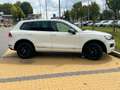 Volkswagen Touareg 3.0 V6 tdi Executive 245cv tiptronic Bianco - thumbnail 3