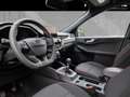 Ford Kuga ST-Line 1.5 EcoBoost | Winter-Pkt. | LED | RFK | A Blu/Azzurro - thumbnail 8