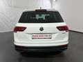 Volkswagen Tiguan 2.0 TDI SCR Life 4Motion DSG *IQ.Light*AHK*ACC* Weiß - thumbnail 6